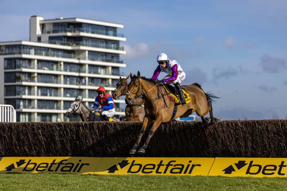 Bravemansgame had been unbeaten over fences until disappointing at Aintree (Steve Paston/PA)