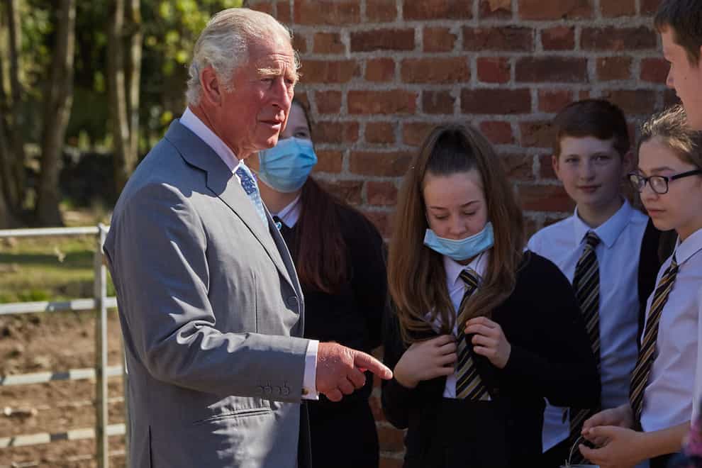 The Prince of Wales has urged children to imagine a sustainable future and sketch it so “we can help make our planet strong and healthy for generations to come” (Guy Hinks/PA)