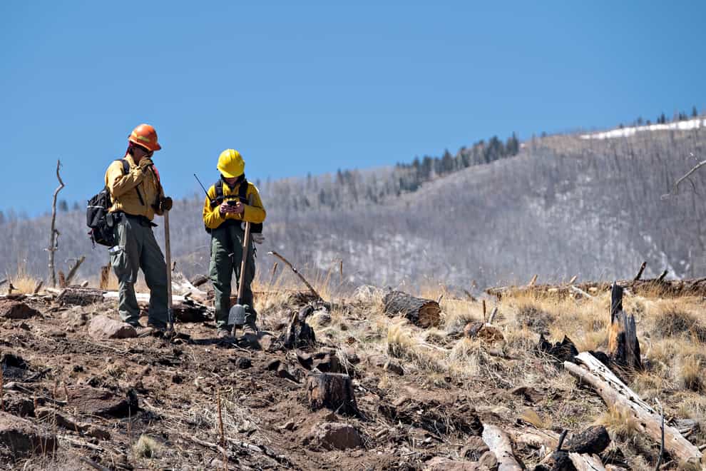 Damage is assessed at the Coconino National Forest near Flagstaff, Arizona (Northern Arizona Type 3 Incident Management Team, via AP)