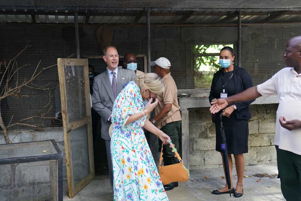 The Earl and the Countess of Wessex with St Vincent’s national bird, the Amazona guildingii after it nearly knocked her sunglasses at the Botanical Gardens in St Vincent and the Grenadines, as they continue their visit to the Caribbean, to mark the Queen’s Platinum Jubilee (Joe Giddens/PA)