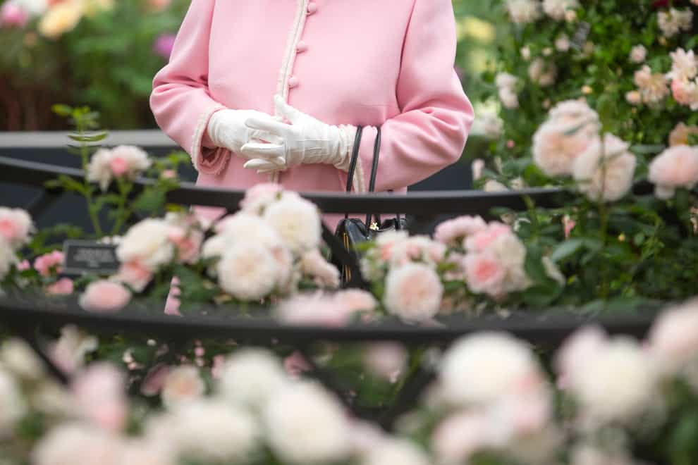 The Queen at the Chelsea Flower Show (Richard Pohle/The Times/PA)