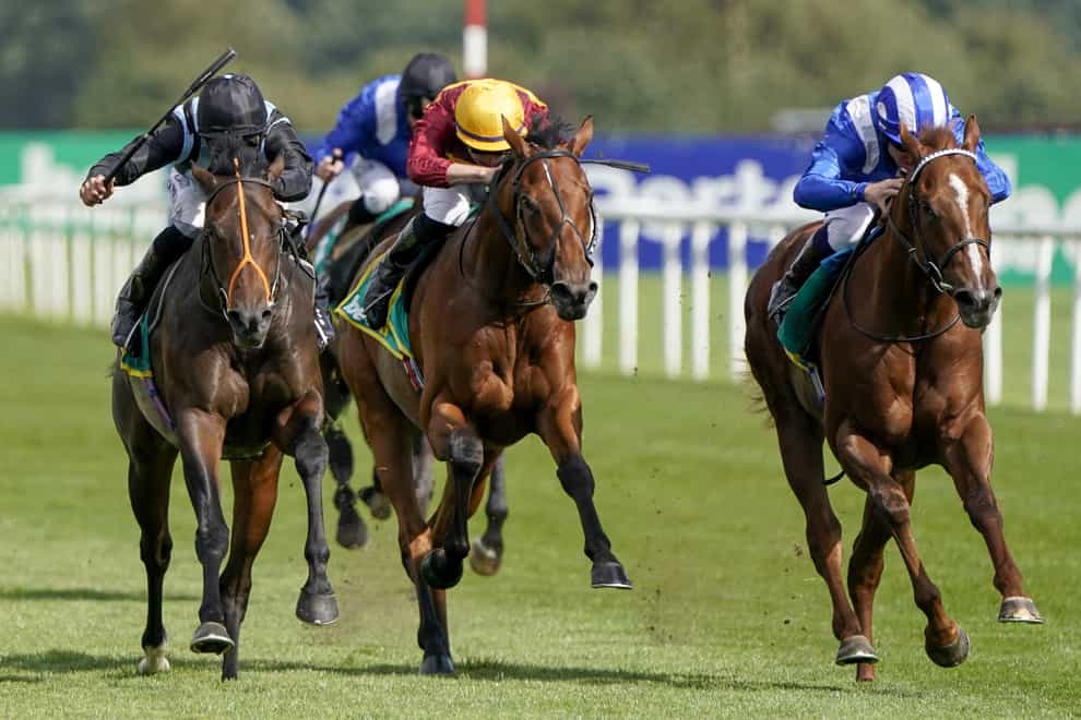 State Of Rest (gold cap) during the Champagne Stakes at Doncaster Racecourse (Alan Crowhurst/PA)