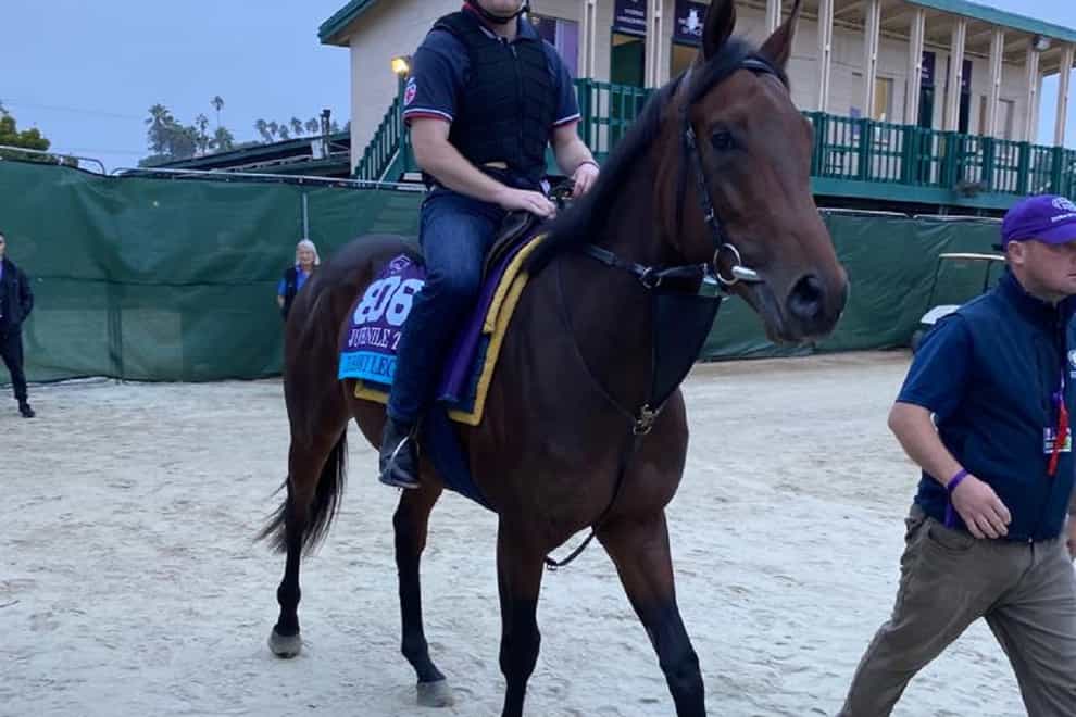 Dubawi Legend, here having a look at the track at Del Mar, could head to France following his 2000 Guineas disappointment (PA)