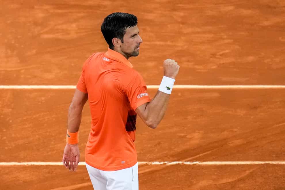 Novak Djokovic celebrates his victory over Gael Monfils in Madrid (Manu Fernandez/AP)