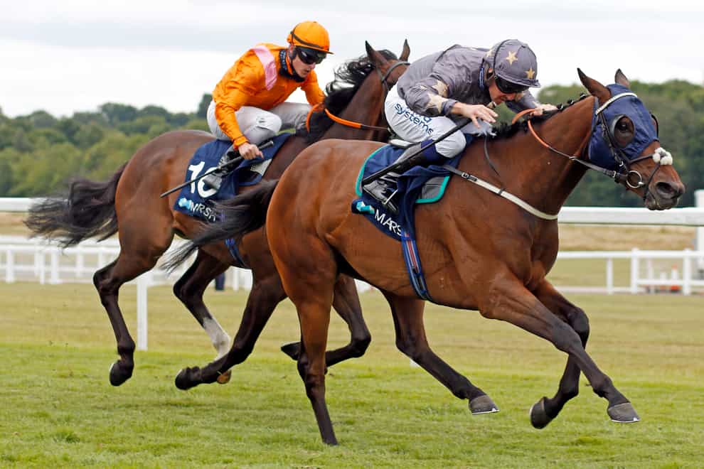Reshoun, here winning at Newbury, is one of four in the Chester Cup for Ian Williams (Steven Cargill/PA)