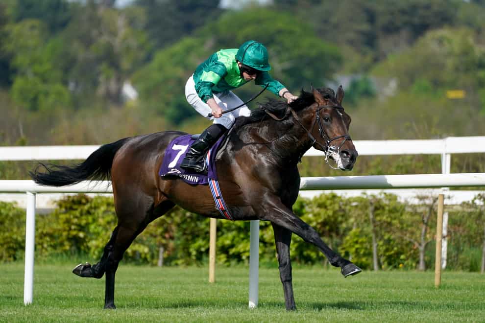 Stone Age on his way to winning at Leopardstown (Brian Lawless/PA)