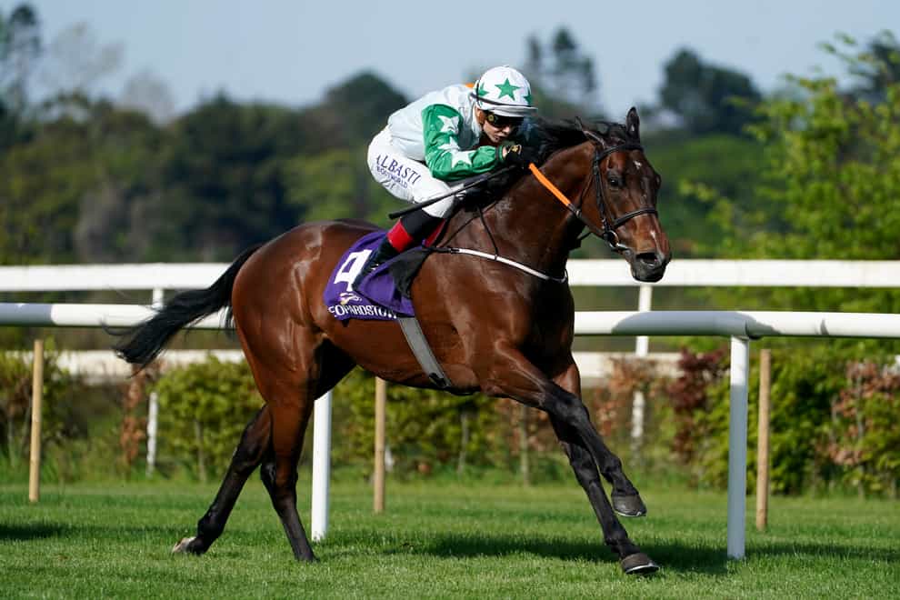 Pretreville winning the Amethyst Stakes at Leopardstown (Brian Lawless/PA)