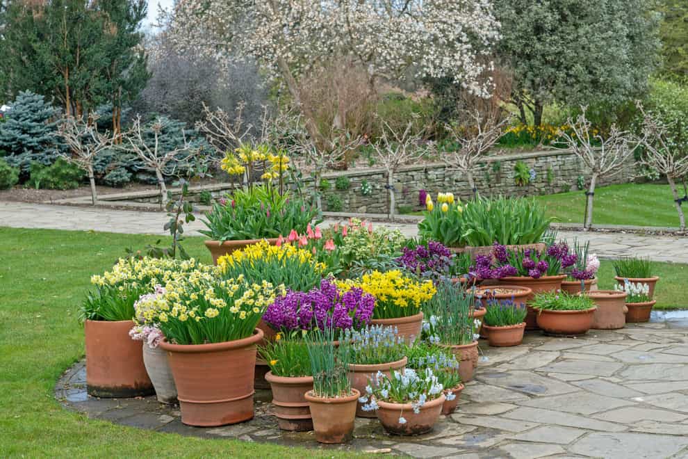 Spring bulbs in containers at RHS Garden Wisley (Nicola Stocken/RHS/PA)