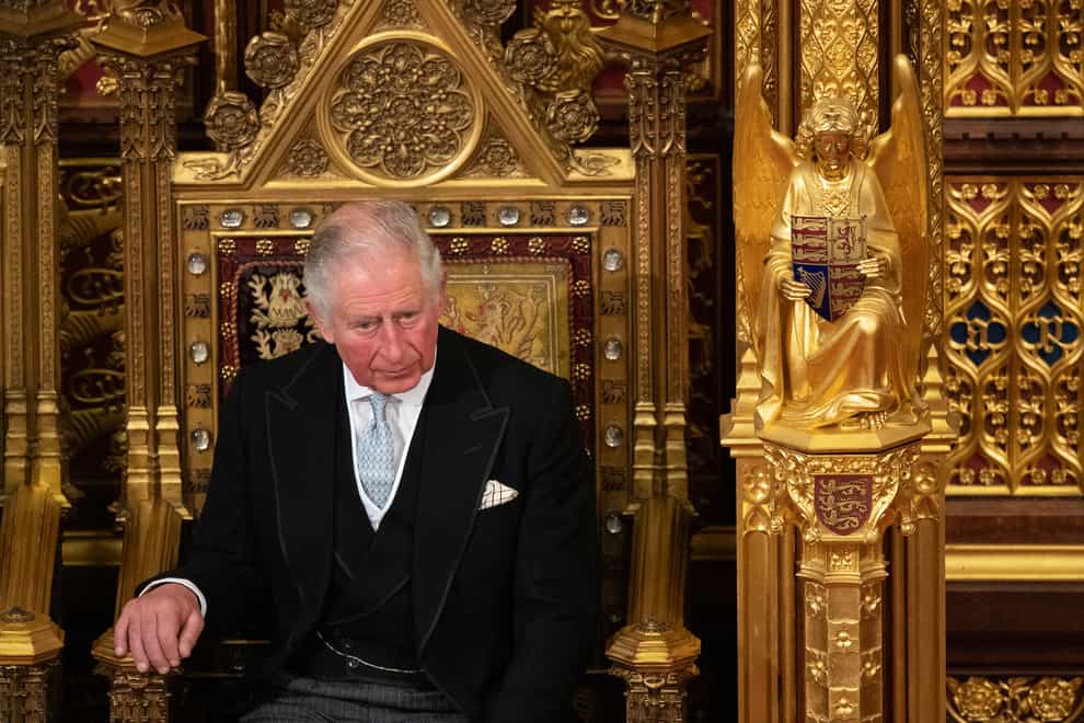 The Prince of Wales sits in the chamber, during the State Opening of Parliament by the Queen in 2019 (Leon Neal/PA)