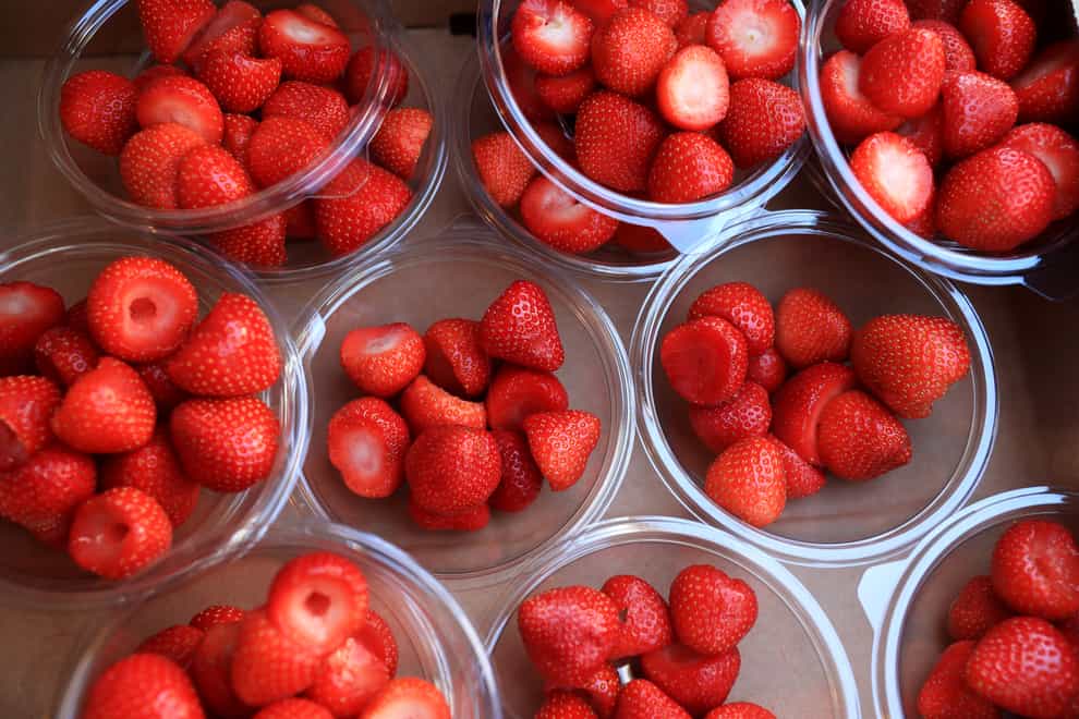 Fresh strawberries (PA)