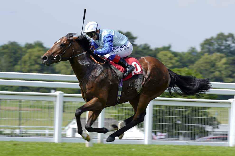 Sonny Liston, here running at Sandown, could head to Epsom for the Derby next (Alan Crowhurst/PA)