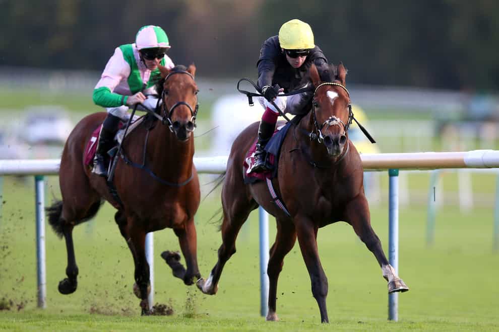 Magisterial (right) in action at Haydock (Nigel French/PA)