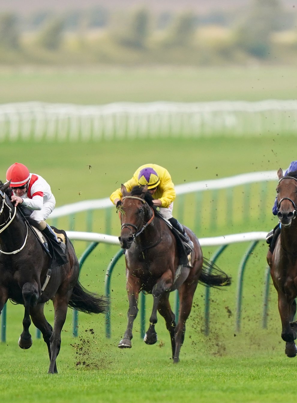 Claymore (left) has to overcome the worst draw possible at ParisLongchamp (Tim Goode/PA)