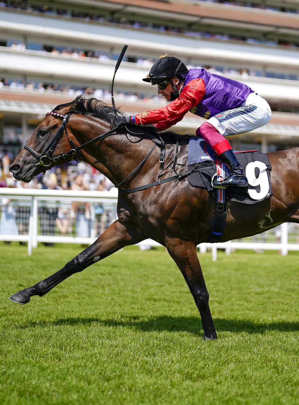 Reach For The Moon could return to action at Sandown (Alan Crowhurst/PA)