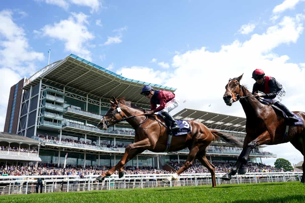 Lilac Road gained a valuable success at York (Tim Goode/PA)