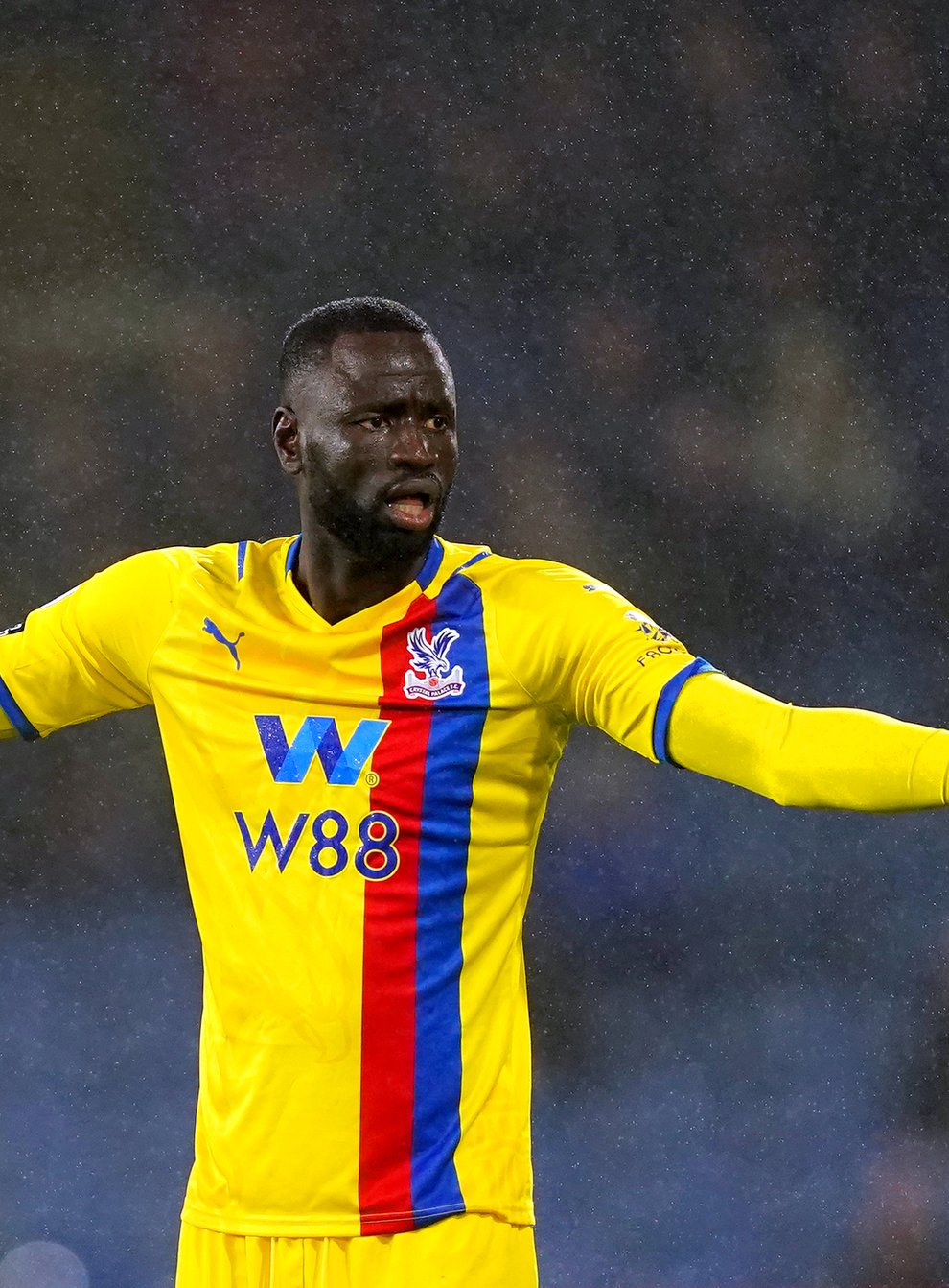Crystal Palace’s Cheikhou Kouyate has become engulfed in the Idrissa Gueye story (Martin Rickett/PA)