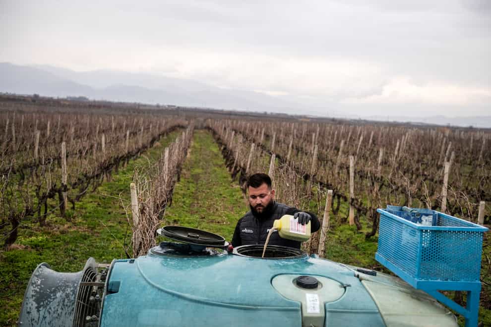 A farmer fills a spray machine with pesticide at his vineyard near the town of Tyrnavos, central Greece (AP)