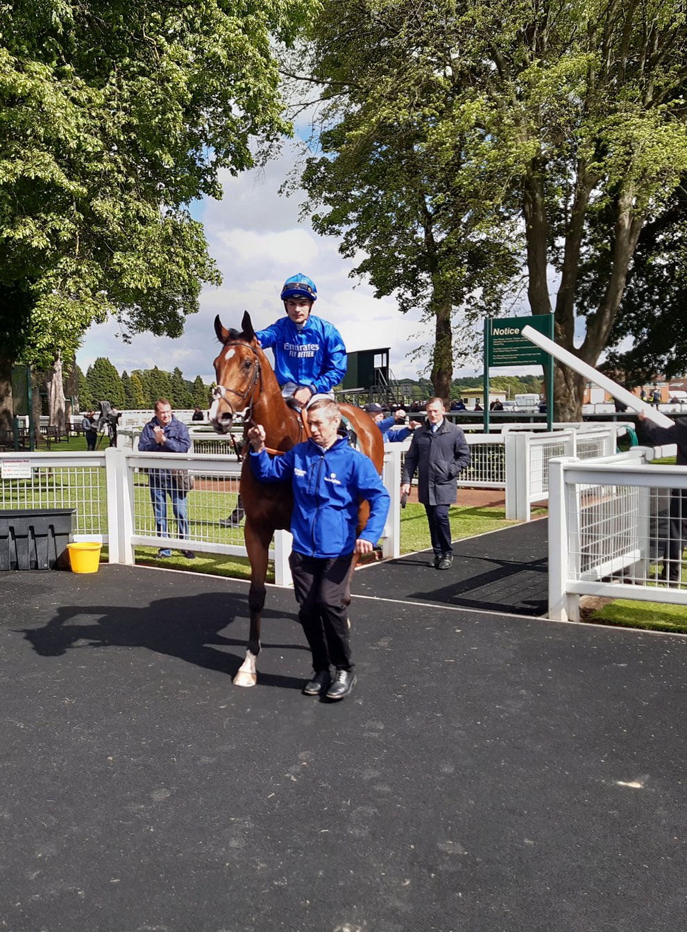 Shining Blue remained unbeaten (Nick Robson)
