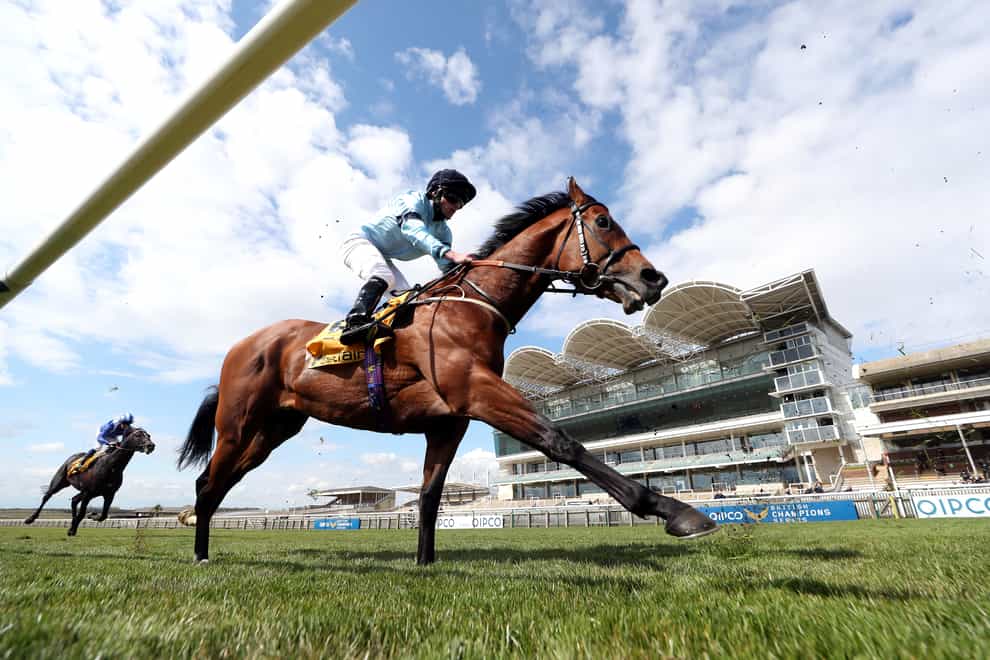 Thunderous will not line up for a rematch with Stradivarius in the Ascot Gold Cup (David Davies/PA)