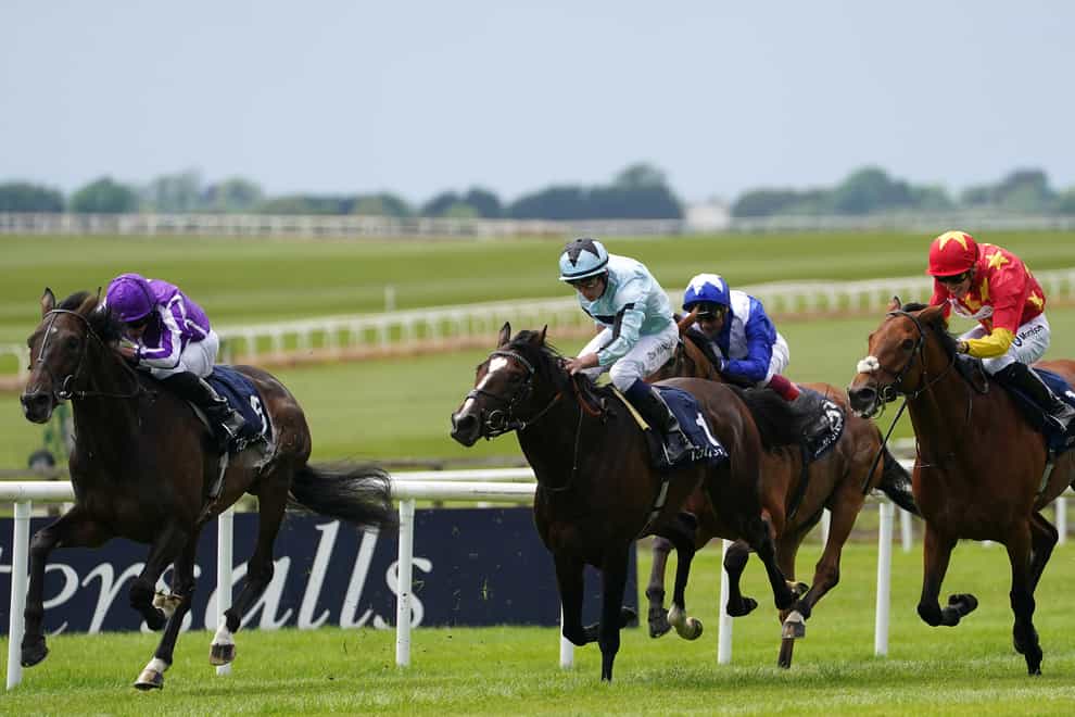State Of Rest (right) is on course for the Prince Of Wales’s Stakes (Brian Lawless/PA)