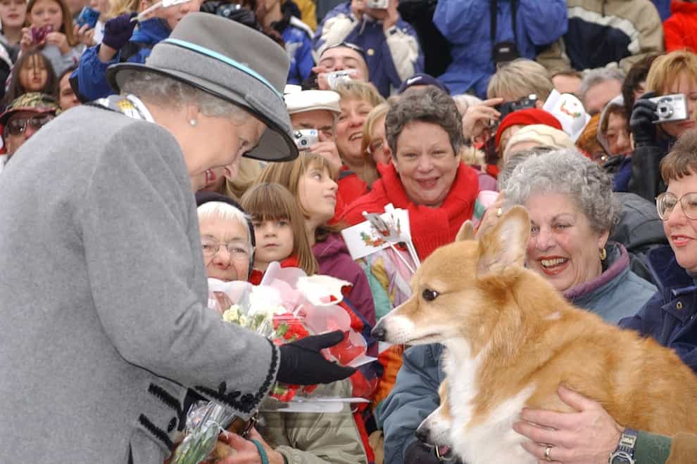 The Queen’s favourite breed of dog the Pembroke Welsh Corgi has grown in popularity, new figures show (Kirsty Wigglesworth/PA)