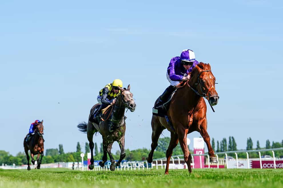 Persian Force, here winning at Newbury, is one of Amo Racing’s big hopes for success at Royal Ascot.