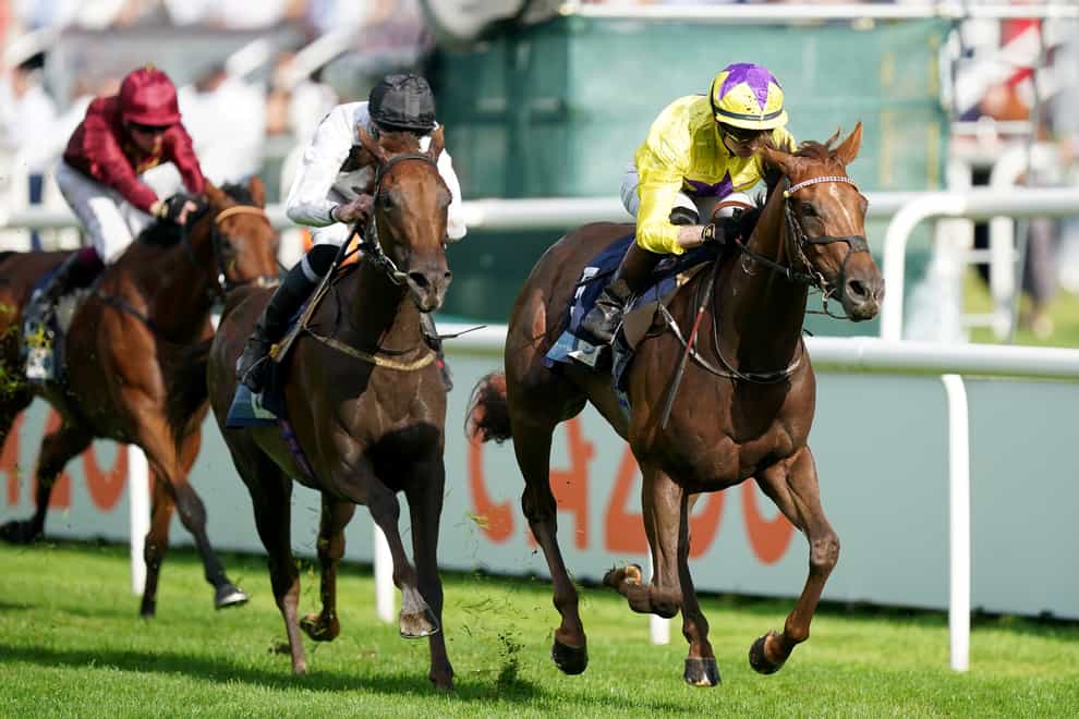 Viola (left), here running at Doncaster, bumped into Sea La Rosa (right) once again at Haydock at the weekend (Mike Egerton/PA)