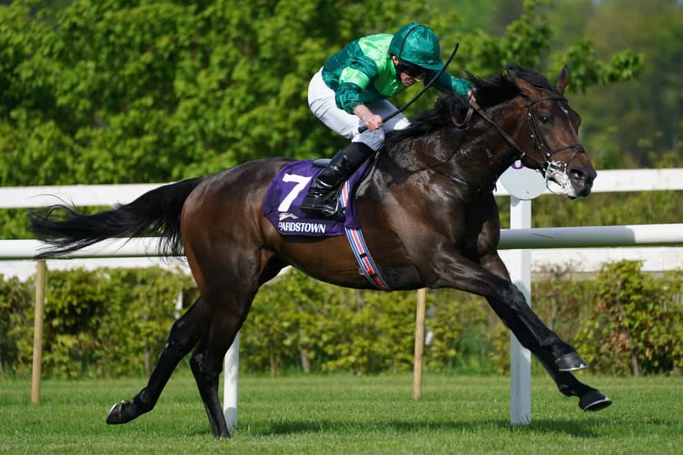 Stone Age on his way to victory at Leopardstown (Brian Lawless/PA)