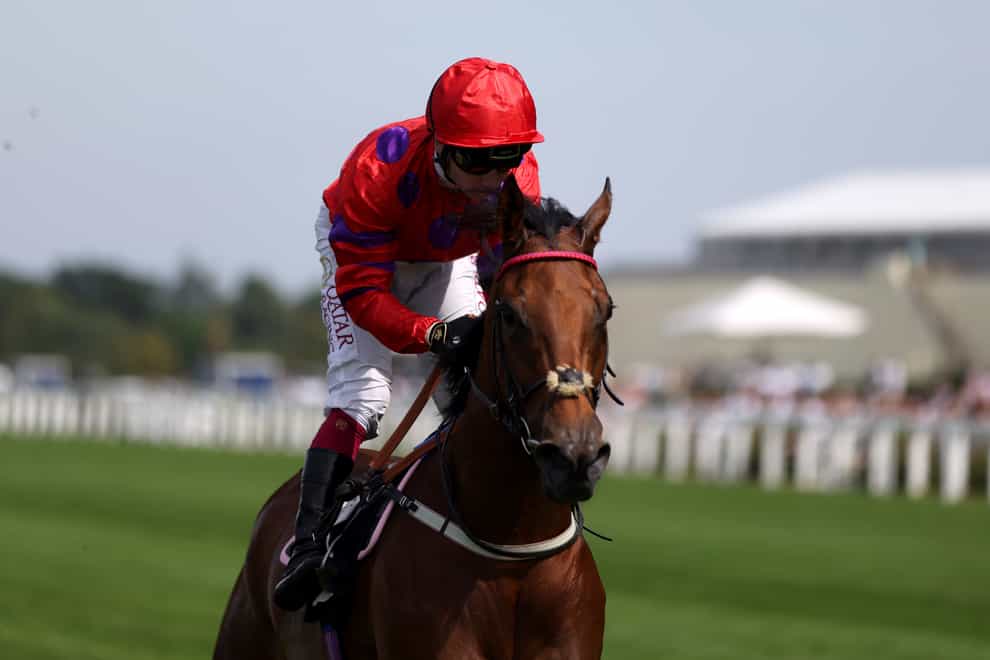 Dreamloper could be on course for another Group One at Newmarket (Steven Paston/PA)
