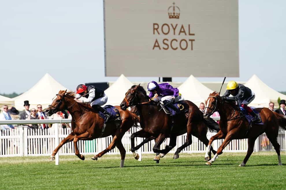 Kyprios leads them home in the Gold Cup (David Davies/PA)