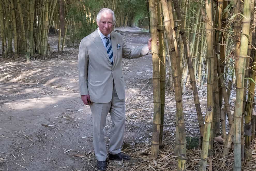 The Prince of Wales during his visit to an agroforestry site in Kigali, as part of his visit to Rwanda (Arthur Edwards/The Sun/PA)