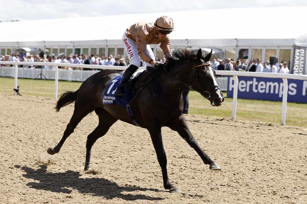 Sense of Duty was in a class of her own in the Chipchase Stakes at Newcastle (Richard Sellers/PA)