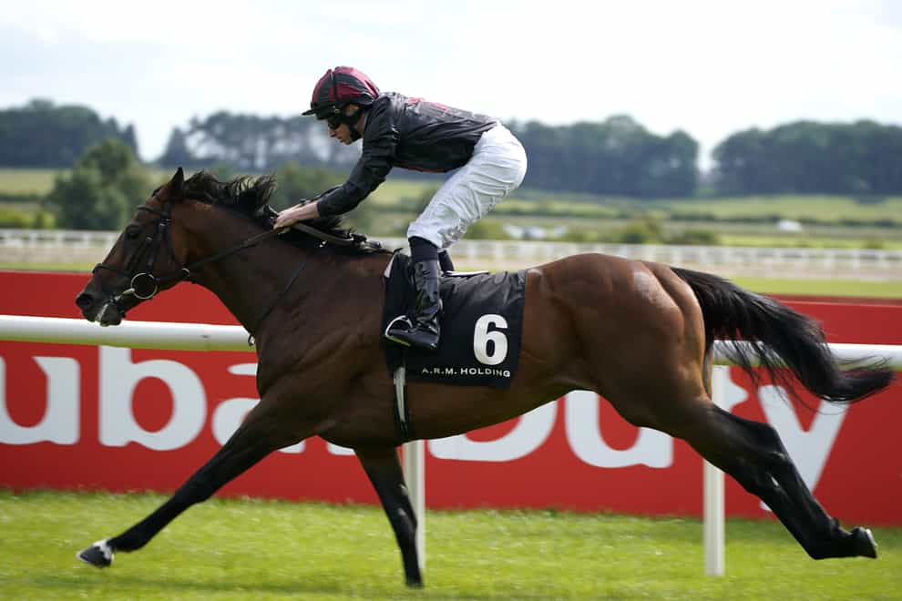 Aikhal was impressive in the International Stakes (Niall Carson/PA)