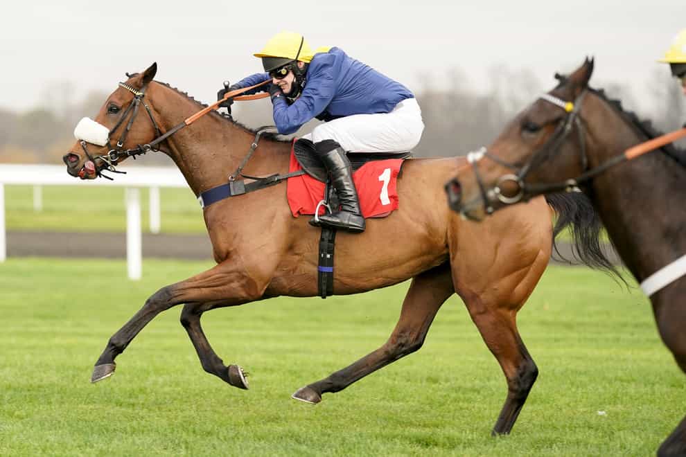 Ajero, here running over hurdles at Kempton, has acquitted himself well on the Flat this summer (Alan Crowhurst/PA)