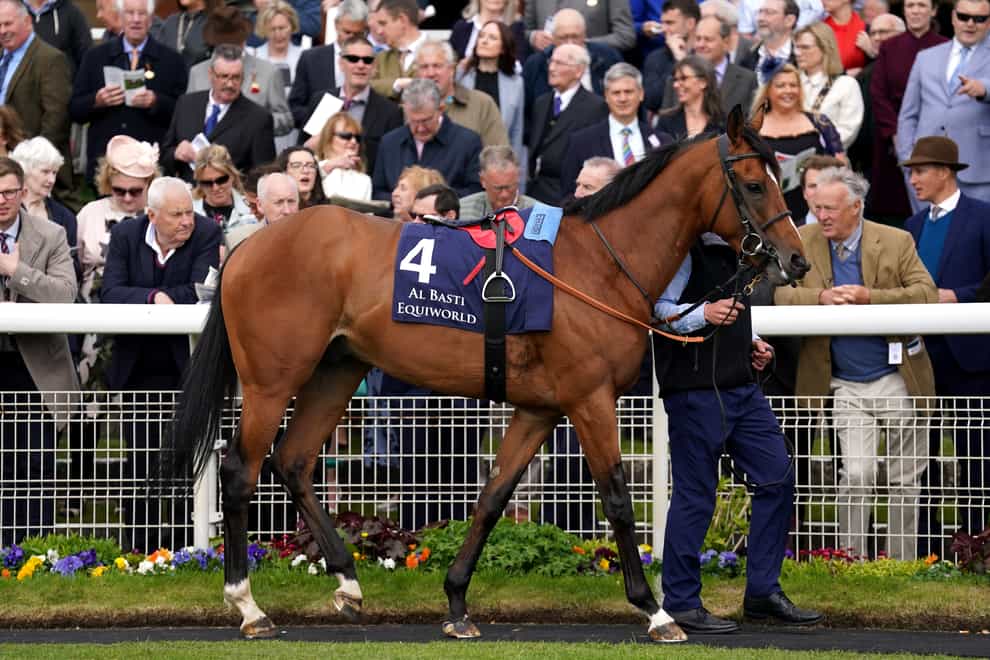 El Bodegon in the parade ring prior to The Al Basti Equiworld Dubai Dante Stakes during day two of the Dante Festival 2022 at York racecourse. Picture date: Thursday May 12, 2021.