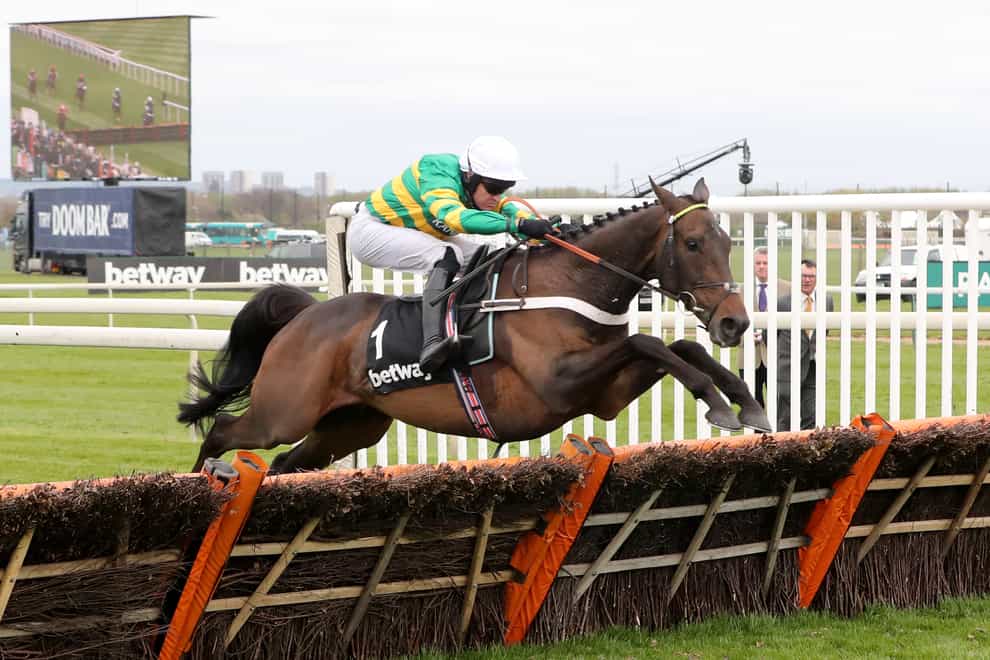 Buveur D’Air in winning action at Aintree (Niall Carson/PA)