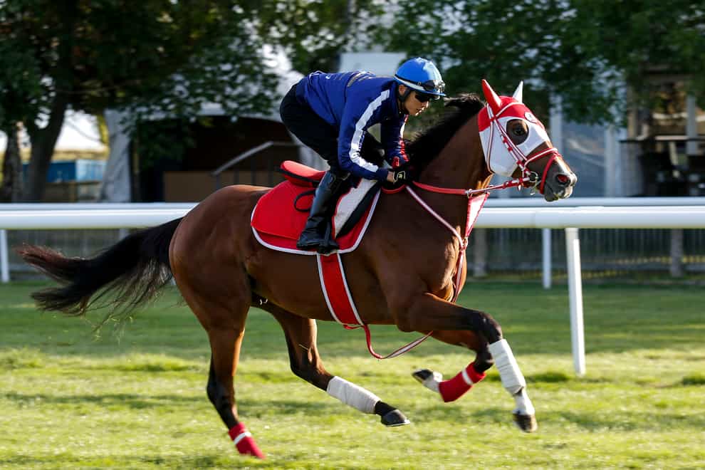 King Hermes in action on the July Course (Jockey Club)