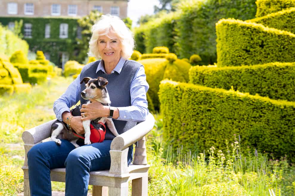 The Duchess of Cornwall (Spungold Productions)CAMILLAÕS COUNTRY LIFEWednesday 13th July 2022 on ITV Pictured: The Duchess of Cornwall with her dog Beth at Highgrove. Harry Page/ITV With access to The Duchess of Cornwall in her role as Guest Editor of Country Life magazine to mark her 75th birthday, this one-off documentary gives a unique insight into our future Queen Consort, as she immerses herself in her personal passions and engages with some of those closest to her.CamillaÕs Country Life from award-winning Director Michael Waldman (Inside the Foreign Office), accompanies The Duchess of Cornwall as she plans and oversees a special edition of Country Life during the magazineÕs 125th anniversary year, alongside performing her regular royal duties and engagements.The documentary reveals The DuchessÕs love for the British countryside and the people and places that have shaped her. To put the edition together, Her Royal Highness has invited guest writers to discover her passions, reveal her personal countryside champions and meet the people who run the charities and advocate for causes she cares so deeply about. Photographer Harry Page (C) ITVFor further information please contact Peter GrayMob 07831460662 / peter.gray@itv.comThis photograph is (C) ITV and can only be reproduced for editorial purposes directly in connection with the programme CAMILLAÕS COUNTRY LIFE or ITV. Once made available by the ITV Picture Desk, this photograph can be reproduced once only up until the Transmission date and no reproduction fee will be charged. Any subsequent usage may incur a fee. This photograph must not be syndicated to any other publication or website, or permanently archived, without the express written permission of ITV Picture Desk. Full Terms and conditions are available on the website www.itvpictures.com