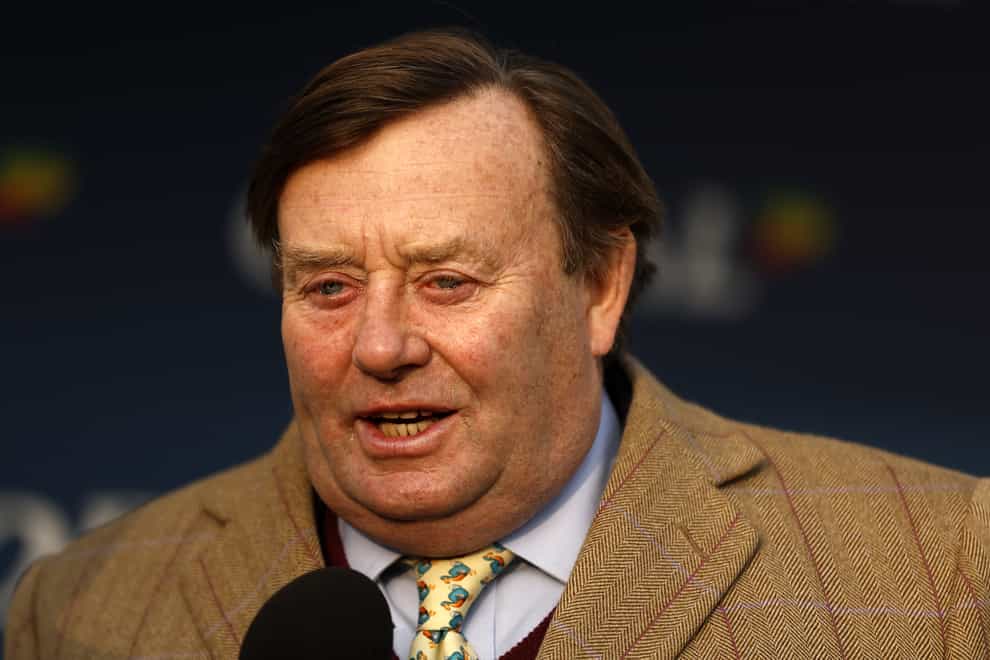 Nicky Henderson has provided his reaction to the recommendations presented by the Whip Consultation Steering Group (Steven Paston/PA)