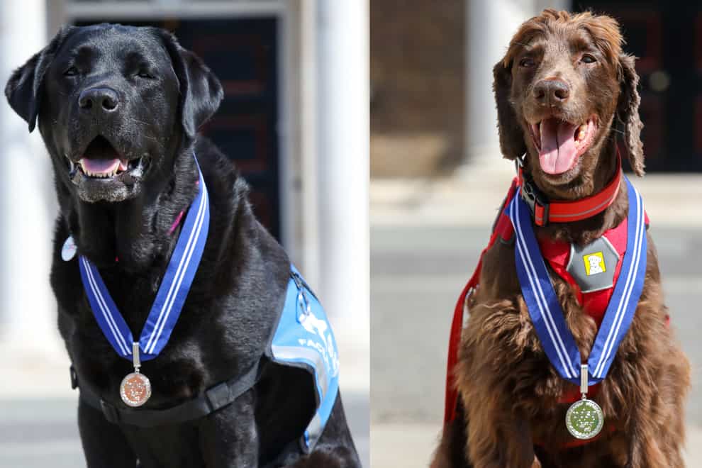 Justice facility dog Oliver and PTSD assistance dog Jerry were among the honoured recipients (PDSA/PA)