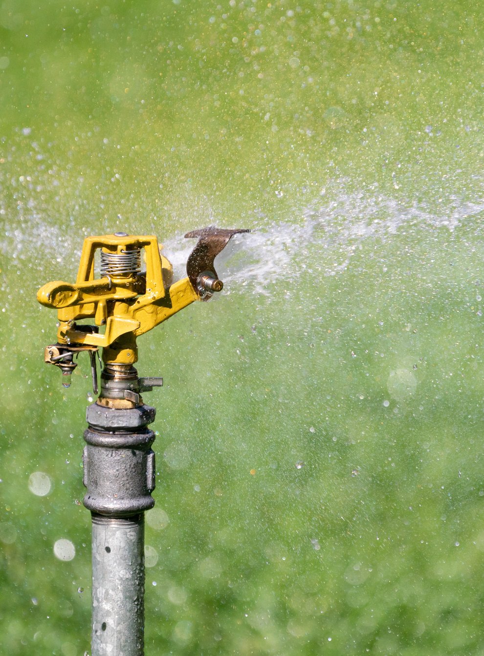 A sprinkler head sprays water onto a green lawn in London as temperatures in the south of England are expected to hit an annual high of 33C this week and some schools are closing their doors (Dominic Lipinski/PA)