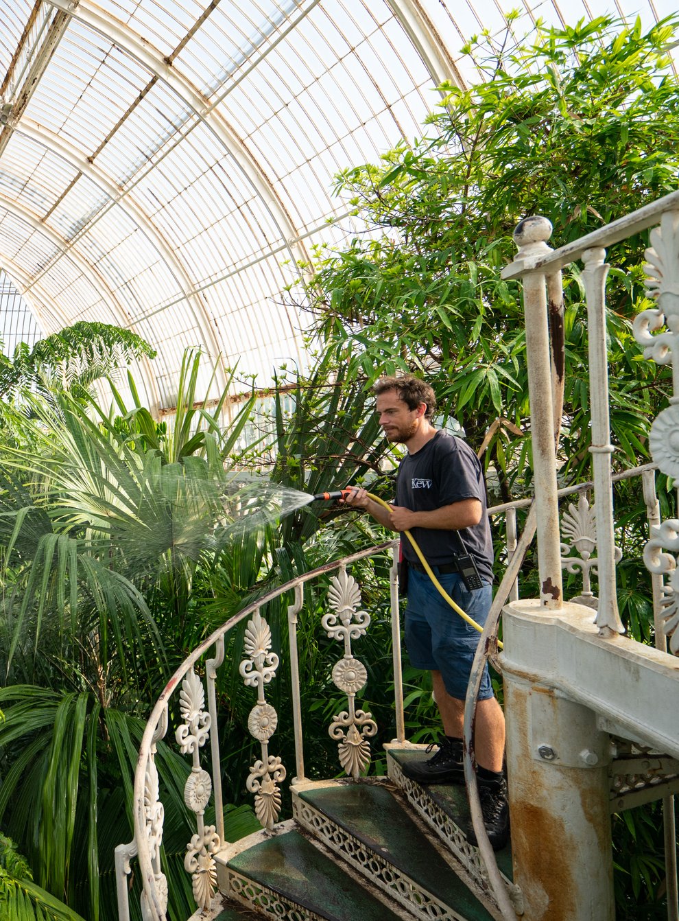 Palm House supervisor Will Spolestra waters the plants in the Palm House at the Royal Botanical Gardens Kew (Dominic Lipinski/PA)