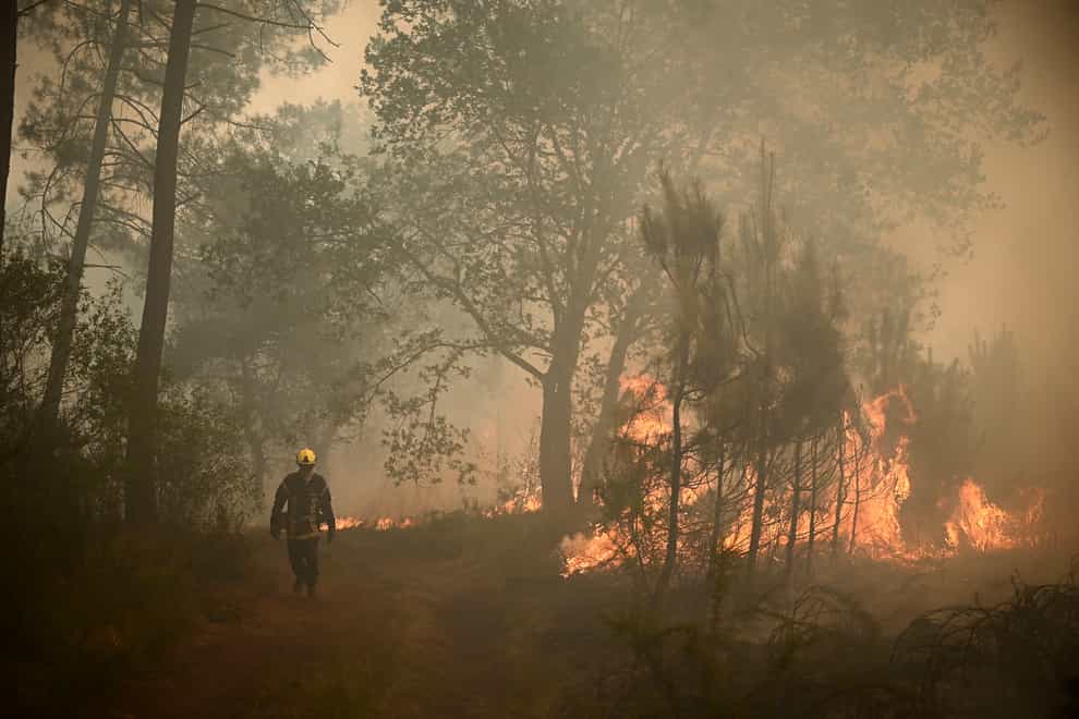 A firefighter walks among flames at a forest fire near Louchats (Phillippe Lopez/AP)