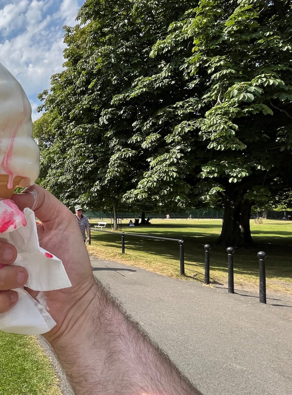 An ice cream melts in the heat at Phoenix Park in Dublin (PA)