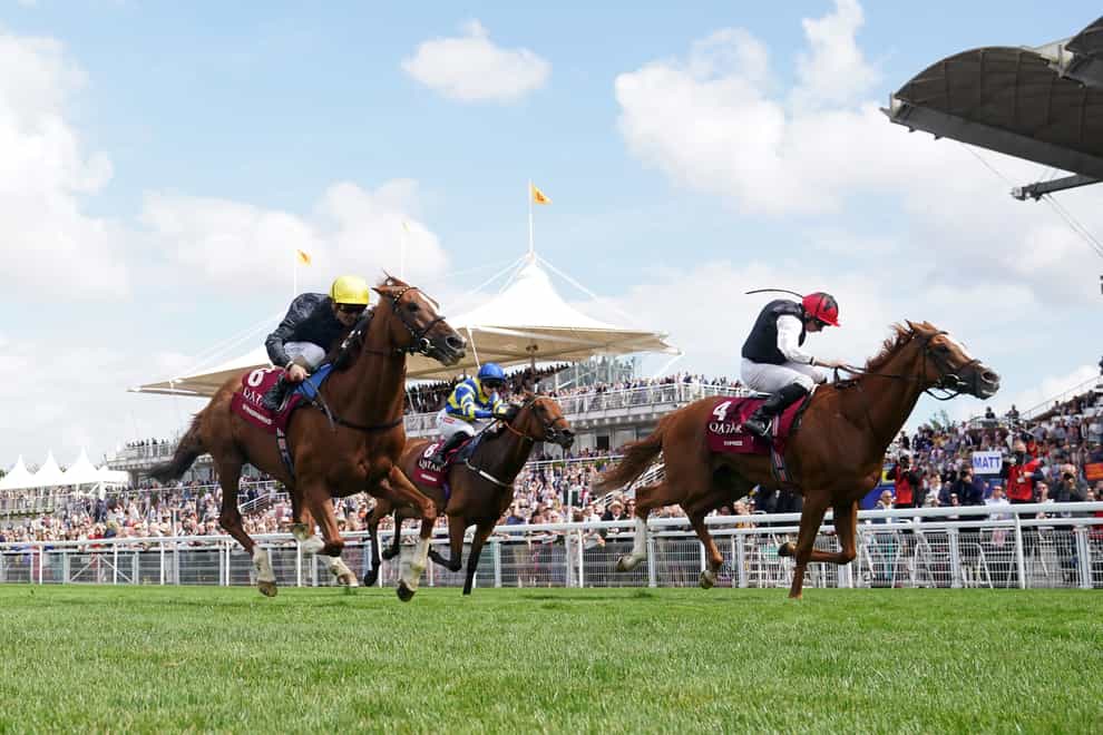 Stradivarius (left) just failed to get the better of Kyprios (Adam Davy/PA)