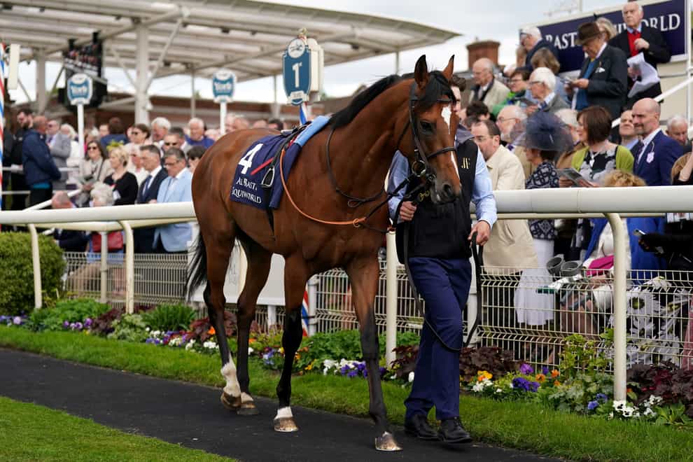 File photo dated 12-05-2022 of El Bodegon in the parade ring. James Ferguson is eyeing up another trip to France with El Bodegon, who could run in the Prix Guillaume D’Ornano at Deauville (Tim Goode/PA)