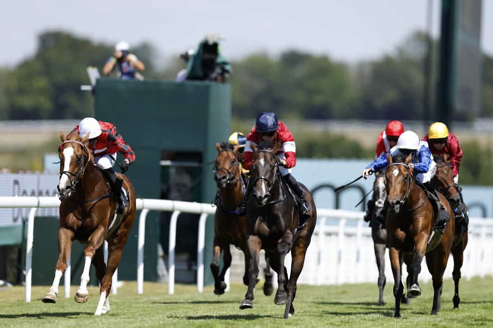 The Wizard Of Eye (left) may head to France for his next start (Steven Paston/PA)