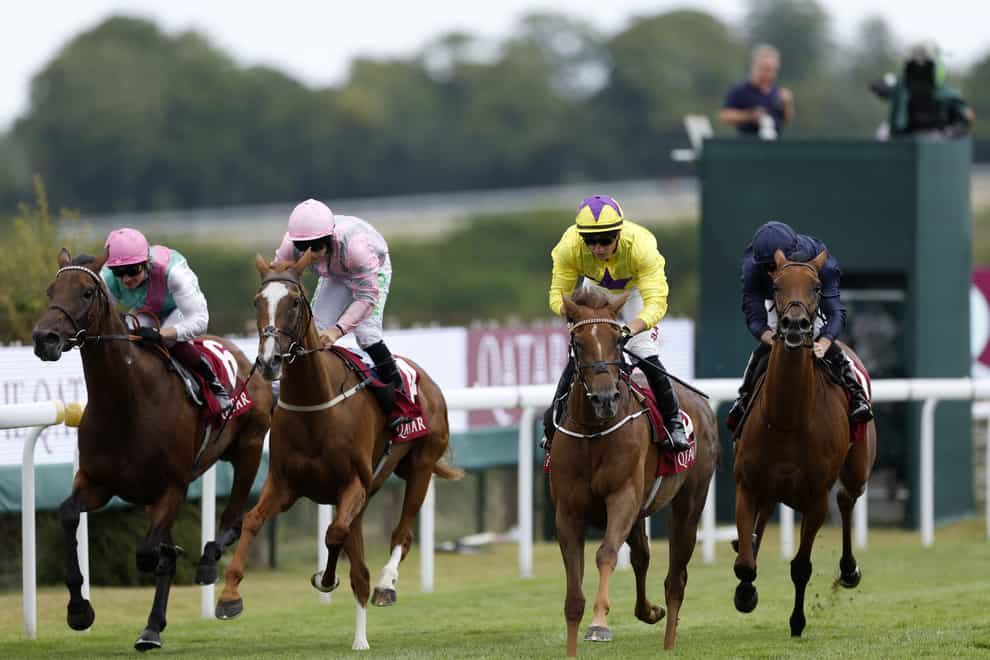 Urban Artist (second from left) just missed out at Goodwood (Steven Paston/PA)