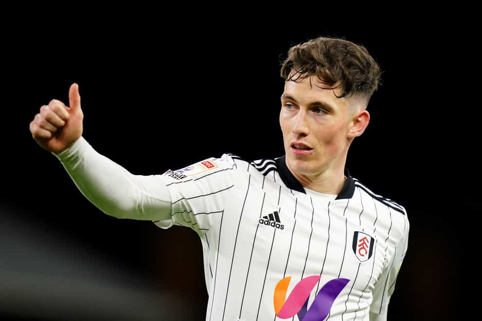 Fulham manager Marco Silva could be without winger Harry Wilson for up to two months (Adam Davy/PA)