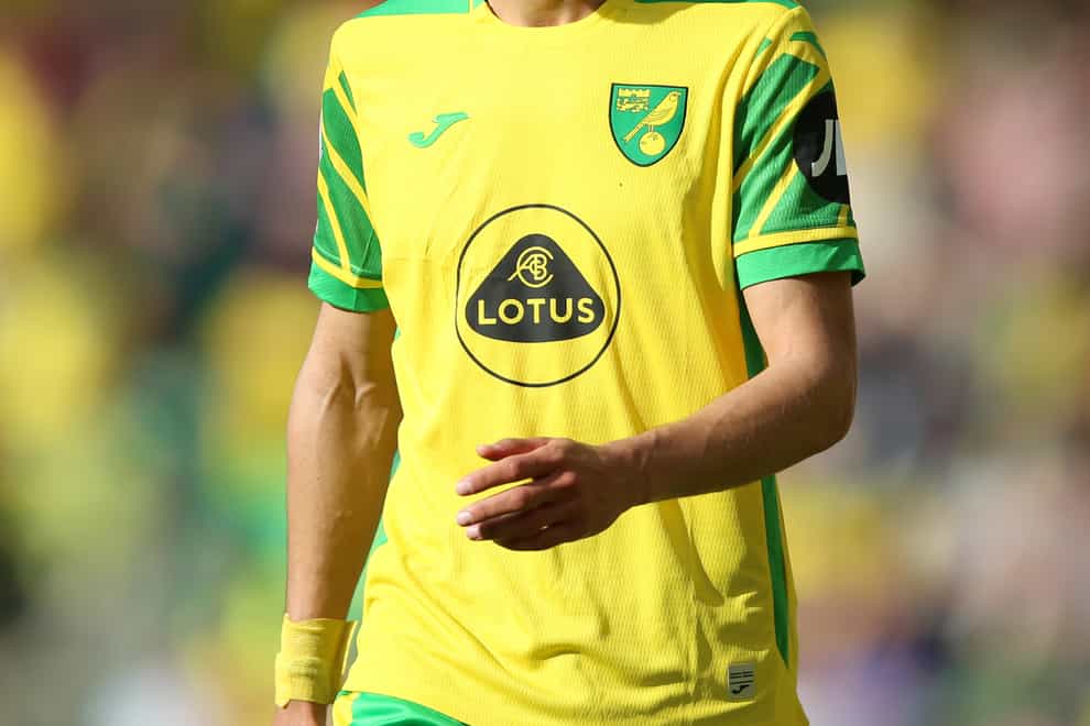 Norwich defender Dimitris Giannoulis faces a spell on the sidelines (Nigel French/PA)